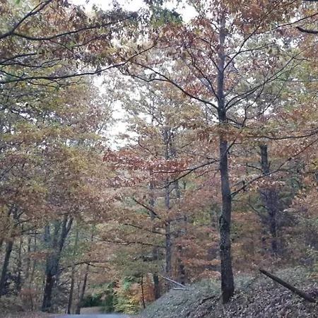 Le Stanzette Della Manca